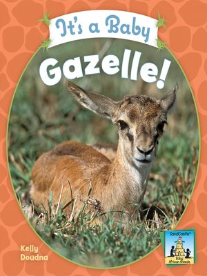 cover image of It's a Baby Gazelle!